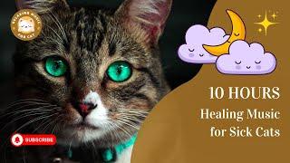 Healing Music for Sick Cats 10 Hours  Relaxing Music for Cat