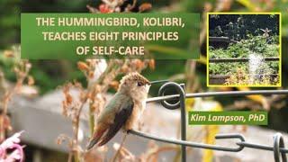 Self-Care Tips: What a Psychologist Learned from Two Hummingbirds