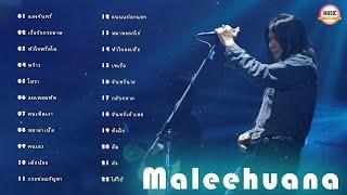 รวมเพลงฮิต Maleehuana แสงจันทร์ เรือรักกระดาษ กระท่อมกัญชา หัวใจพรือโฉ้ โมรา หมาหยอกไก่ พร้าว