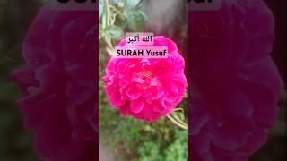 Al Quran  Surah YUSUF #Quran#subscribe#like#slam #history