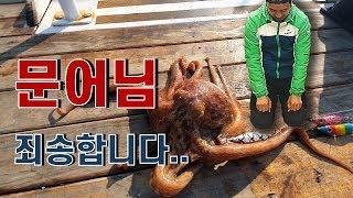 군산 격포권 문어를 조져보자!!! 로 했다가 선비벌고 왔땈ㅋㅋㅋㅋ