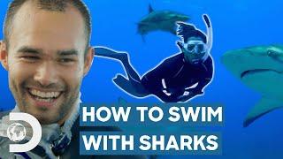 Freediving With Tiger Sharks For The First Time! | Shark Academy