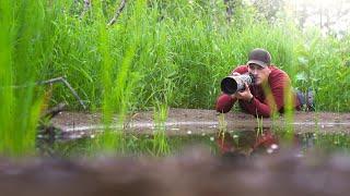 FILMING BIRDS at my new DIY WILDLIFE Pond