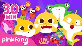 Sad, Happy and Surprised Baby Shark | Sing Along with Baby Shark | Compilation | Pinkfong Kids Songs