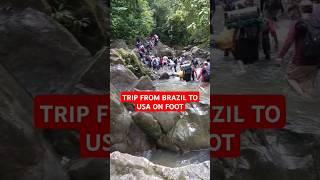 Brazil to USA on Foot #trending #viralvideo #trending #trendingshorts #viralshorts #viralreels #usa