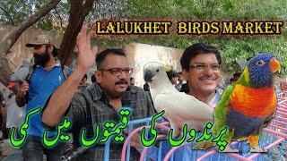 Lalukhet Exotic Parrots and Rare Birds Market Karachi 14-7-2024 Latest Update in Urdu | سوق الطيور