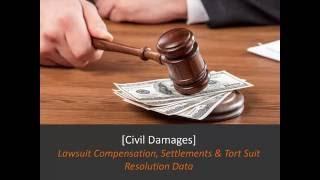 Civil Lawsuits:  The Truth About Compensation [Data Snapshot]