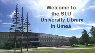 Virtual Tour of the SLU University Library, in Umeå