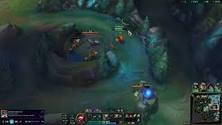 Bronze teemo playing in the jungle