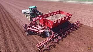 Spudnik 12 Potato Planter