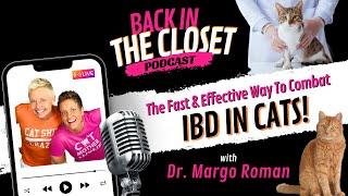 The Fastest Way To Combat IBD In Cats with Dr. Margo Roman | Back In The Closet