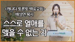 캐나다 토론토백송교회 배성연 목사-스스로 열매를 맺을 수 없는 자(요15:1-10)