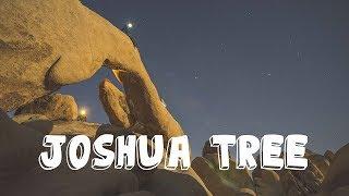 Joshua Tree // A Camping Mockumentary // Sony a7r