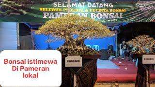 Bonsai Berkelas Di Pamlok Ds. grogol Kec. Sawoo Ponorogo