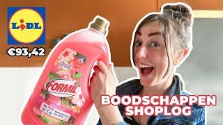 LIDL SHOPLOG BUDGET WEEKBOODSCHAPPEN  | BOODSCHAPPEN GEZIN van 4 | onder de €100 | Zeg Maar Mich