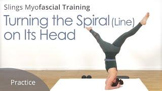 Turning the Spiral Line on Its Head | Training Fascia with Karin