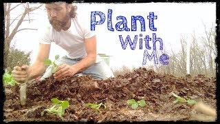 Plant With Me | Collaboration | Honest Open Permaculture