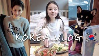 Корейские будни нашей семьи / KOREA VLOG