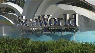 SeaWorld and LEGOLAND present reopening plan to the county