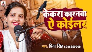 Priya Singh का फिर से एक और वीडियो आ गया !! Kekra Karwanwa A Koilar  !! केकरा कारनवा ए कोईलर