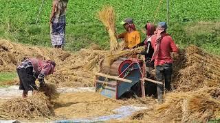 অসাধারণ গ্রামীন জীবনের চিত্র | Rainy Day | Village Market | Daily Village Life In Bangladesh