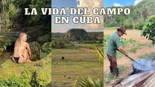 Conociendo la realidad de la vida de los campesinos en Cuba (tabaco) en el Valle de Viñales