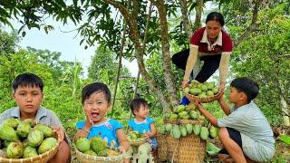 Harvesting mangoes to sell at the market | Farm renovation with an orphan boy