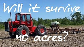 First 40 acres in 20 years!  Will the fresh painted Massey 1800 survive?