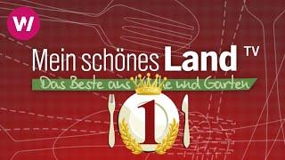 Die besten Rezepte aus "Mein Schönes Land TV"