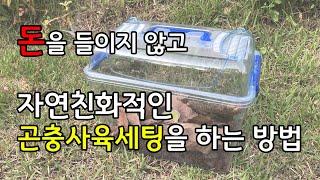 돈을 들이지 않고 자연친화적인 곤충사육세팅을 하는 방법!