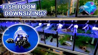 Is My Fish Room Working Too Well?