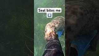 Surviving a seal attack #seal
