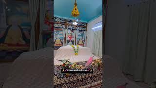 #bani #waheguruji #waheguru #walkthrough #kitten #kirpa #sewa #nanaksarkaleran #gurbanikirtan