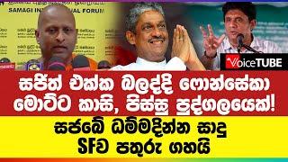 සජිත් එක්ක බලද්දි ෆොන්සේකා මොට්ට කාසි, පිස්සු පුද්ගලයෙක්!  සජබේ ධම්මදින්න සාදු  SFව පතුරු ගහයි