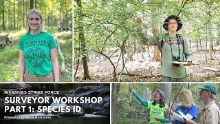 Invasives Strike Force Surveyor Workshop Webinar - Part 1: Species ID