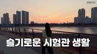 시험관브이로그:: 드디어 채취 날짜 확정! 그런데 항인지질이 아니라고요?!(시험관브이로그 과배란 임신준비 난임병원 난포키우기 항인지질 자가면역질환 일상브이로그 ivf)