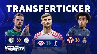 Tottenham leiht Werner / Ajax will Henderson / Barreiro vor Wechsel zu Benfica | TRANSFERMARKT