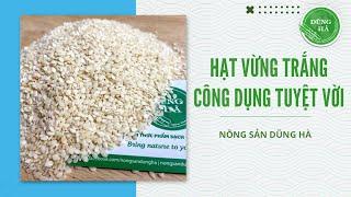 Các Công Dụng Tuyệt Vời Của Vừng Trắng #xuhuong #healthy #calo #review #côngthứcnấuăn