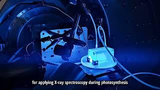 In situ photodeposition of ultra-small palladium particles