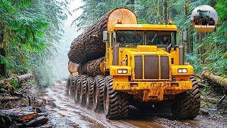 Agricultural Technology Chainsaws, and the Art of Logging #1