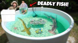 I Bought a DEADLY Fish For My SALTWATER POND!!