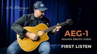 Trey Hensley | Baggs AEG-1 First Listen