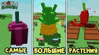 CАМЫЕ БОЛЬШИЕ РАСТЕНИЯ в игре Вырасти сад роблокс | Grow a Garden roblox | Собираю коллекцию (№1)