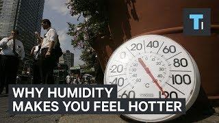 Why Humidity Makes You Feel Hotter