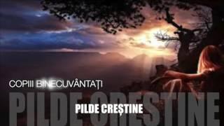 Povesti Si Pilde Crestine Care Te Ajuta Sa Fi Mai Bun