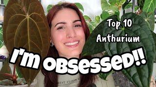 Top 10 Anthurium I'm Excited About!!  dark boys, long boys & all the potential babies for 2025! ️