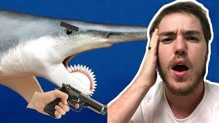 Fish Biologist reacts to "More Terrifying than Megalodon"