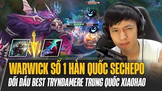 BOY1CHAMP WARWICK HÀN QUỐC SECHEPPO XỬ LÝ KÈO CỰC HAY KHI ĐỐI ĐẦU BEST TRYNDAMERE TRUNG QUỐC XIAOHAO