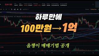 하루만에 100만원을 1억으로 만들어준 올챙이 매매기법 공개 (수익인증)