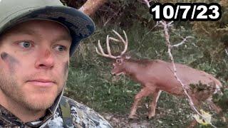 Deer Season Is ON - Self Filmed Hunt with Phone?! - EP 1 Deer SZN 23